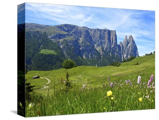 Stretched Canvas Print, , large