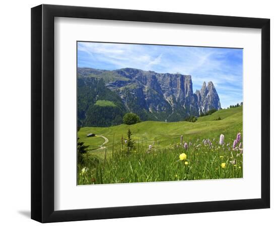 Premium Photographic Print, , large