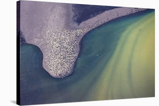 Katmai, Alaska Aerial-Art Wolfe-Stretched Canvas