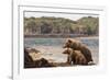 Katmai Peninsula, Alaska, USA Brown Bear mother with two cubs.-Karen Ann Sullivan-Framed Photographic Print