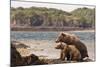 Katmai Peninsula, Alaska, USA Brown Bear mother with two cubs.-Karen Ann Sullivan-Mounted Photographic Print