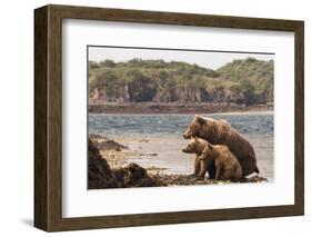 Katmai Peninsula, Alaska, USA Brown Bear mother with two cubs.-Karen Ann Sullivan-Framed Photographic Print