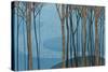 Katonah II-Kathrine Lovell-Stretched Canvas