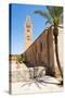 Katoubia Mosque and Palm Tree in Djemaa El Fna-Matthew Williams-Ellis-Stretched Canvas