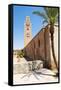 Katoubia Mosque and Palm Tree in Djemaa El Fna-Matthew Williams-Ellis-Framed Stretched Canvas
