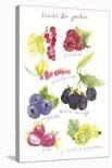 Fruits de Verger-Katrien Soeffers-Stretched Canvas