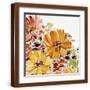 Brown Frame