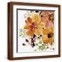 Brown Frame