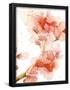 Essential Black