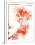 Gramercy White