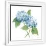Gramercy White