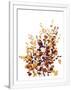 Gramercy White