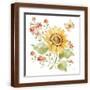 Brown Frame
