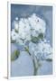 Gramercy White
