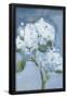 Essential Black