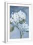 White Frame