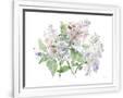 Gramercy White