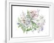 Gramercy White