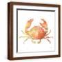 Brown Frame