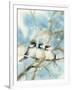 Gramercy White
