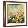 Brown Frame