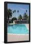 Essential Black