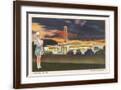 Brown Frame