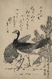 Wildfowl and Pine-Katsukawa Shunsei-Art Print