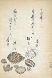 Shellfish-Katsuma Ryusai-Giclee Print