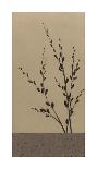 Cool Bamboo II-Katsumi Sugita-Stretched Canvas