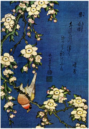Katsushika Hokusai Bullfinch and Drooping Cherry Art Poster Print-null-Lamina Framed Poster