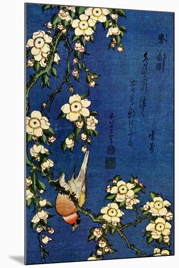 Katsushika Hokusai Bullfinch and Drooping Cherry-Katsushika Hokusai-Mounted Art Print