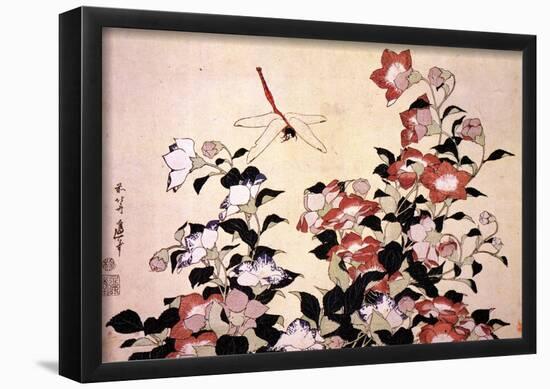 Katsushika Hokusai Chinese Bell Flowers and a Happy Dragon-fly Art Poster Print-null-Framed Poster