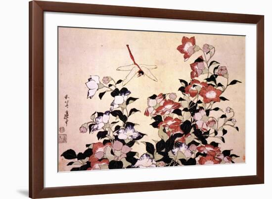 Katsushika Hokusai - Chinese Bell Flowers and a Happy Dragon-fly-Katsushika Hokusai-Framed Art Print