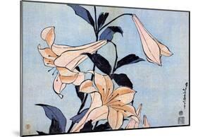 Katsushika Hokusai Lilies Art Poster Print-null-Mounted Poster