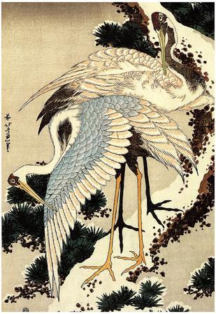 https://imgc.allpostersimages.com/img/posters/katsushika-hokusai-two-cranes-on-a-pine-covered-with-snow-art-poster-print_u-L-F59KEX0.jpg?artPerspective=n