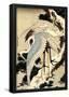 Katsushika Hokusai Two Cranes on a Pine Covered with Snow Art Poster Print-null-Framed Poster