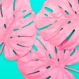 Pink Tropical Palm Leaves of Monstera in Vibrant Bold Color on Turquoise Background-Katya Havok-Photographic Print