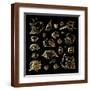 Brown Frame