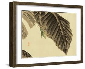 Katydid on Banana Leaf-Bairei Kono-Framed Giclee Print