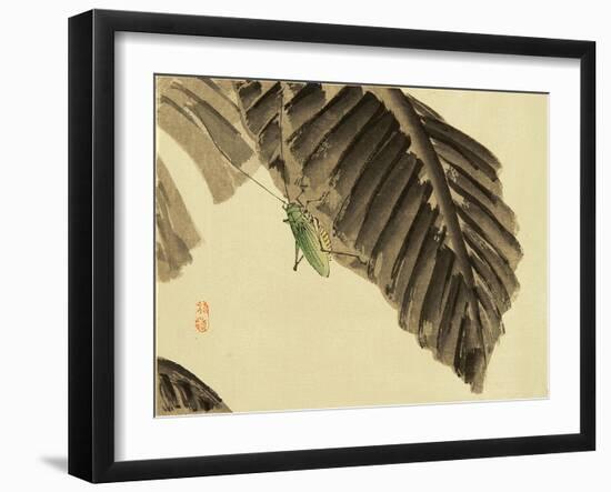 Katydid on Banana Leaf-Bairei Kono-Framed Giclee Print