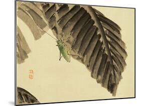 Katydid on Banana Leaf-Bairei Kono-Mounted Giclee Print