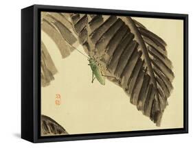Katydid on Banana Leaf-Bairei Kono-Framed Stretched Canvas