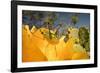 Katydid on Prickly pear flower, Texas, USA-Karine Aigner-Framed Photographic Print