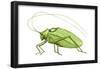Katydid (Pterophylla Camellifolia), Insects-Encyclopaedia Britannica-Framed Poster