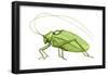 Katydid (Pterophylla Camellifolia), Insects-Encyclopaedia Britannica-Framed Poster