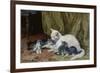 Katze mit vier Jungen auf einem alten Teppich-Julius Adam-Framed Giclee Print