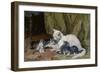 Katze mit vier Jungen auf einem alten Teppich-Julius Adam-Framed Giclee Print