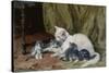 Katze mit vier Jungen auf einem alten Teppich-Julius Adam-Stretched Canvas