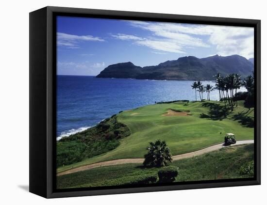 Kauai, Hawaii, USA-null-Framed Stretched Canvas